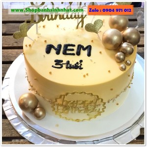 Bánh Sinh Nhật Sữa Tươi - AA573